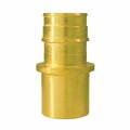 Conbraco MALE ADAPTER 1 in.X1 in. BRASS EPXMSA115PK